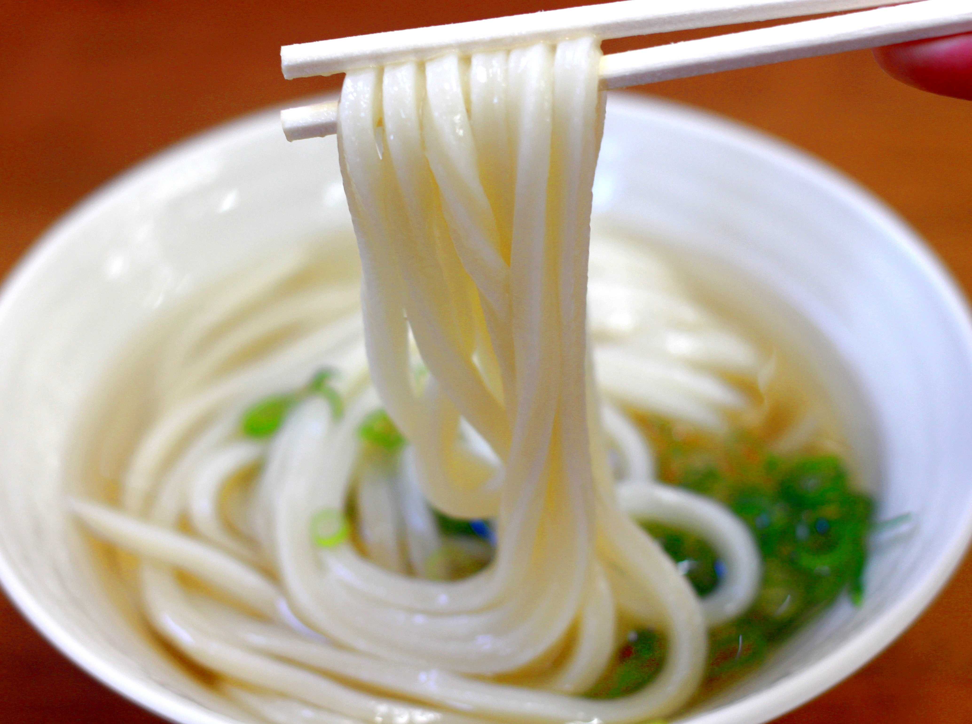 セルフうどん店 たも屋 本店 のうどんの麺線の美しさの秘密に迫ります 讃岐うどんclap