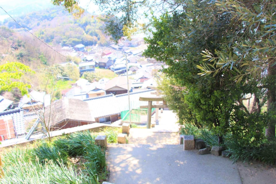 ※写真は男木島の「豊玉姫神社」から見下ろした景観です。
