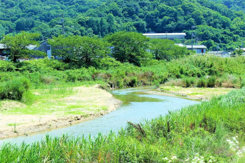 ※写真は津田川沿いの風景です。